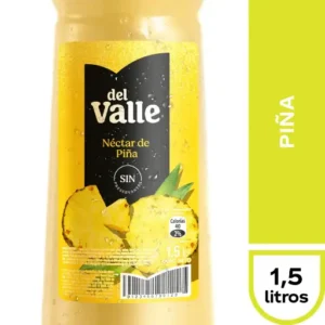 Andina Del Valle Piña 1