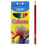 Colores Pointer - Bazar