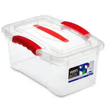 Caja Plastica 3 Lts. 6 x 1