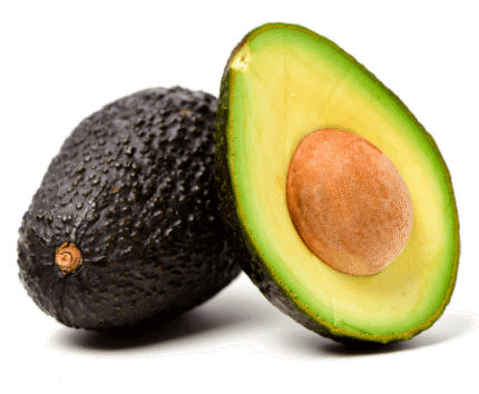 Palta Hass