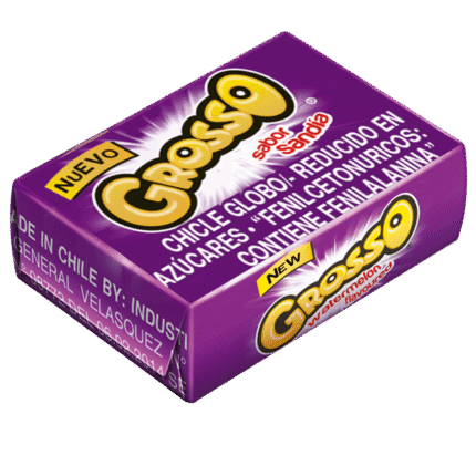 Chicle Grosso Surtido